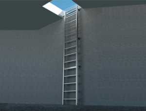 Sure Step Economy Channel Ladder